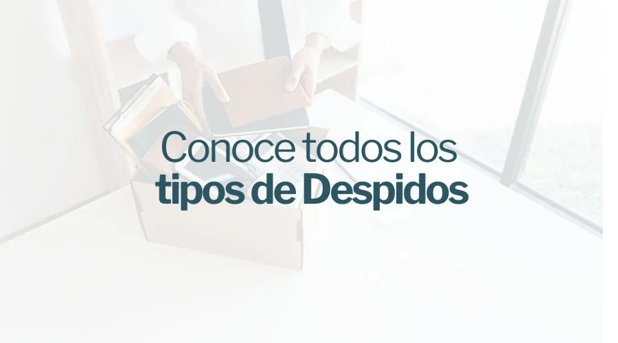 Indemnizaciones por despido