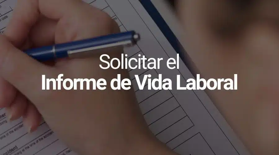 vida laboral